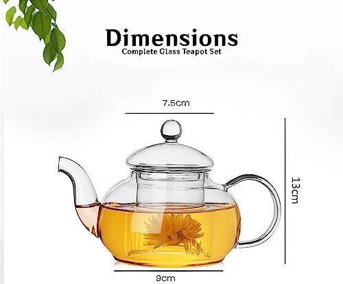 1000ml Removle Glass Filter and Stove Top Safe Borosilicate Glass Teapot
