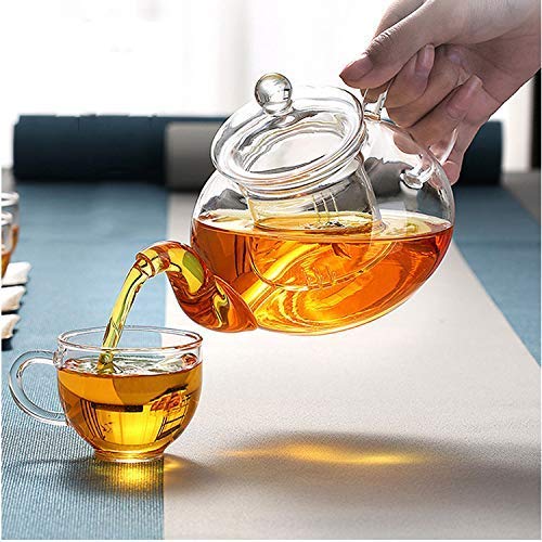 1000ml Removle Glass Filter and Stove Top Safe Borosilicate Glass Teapot