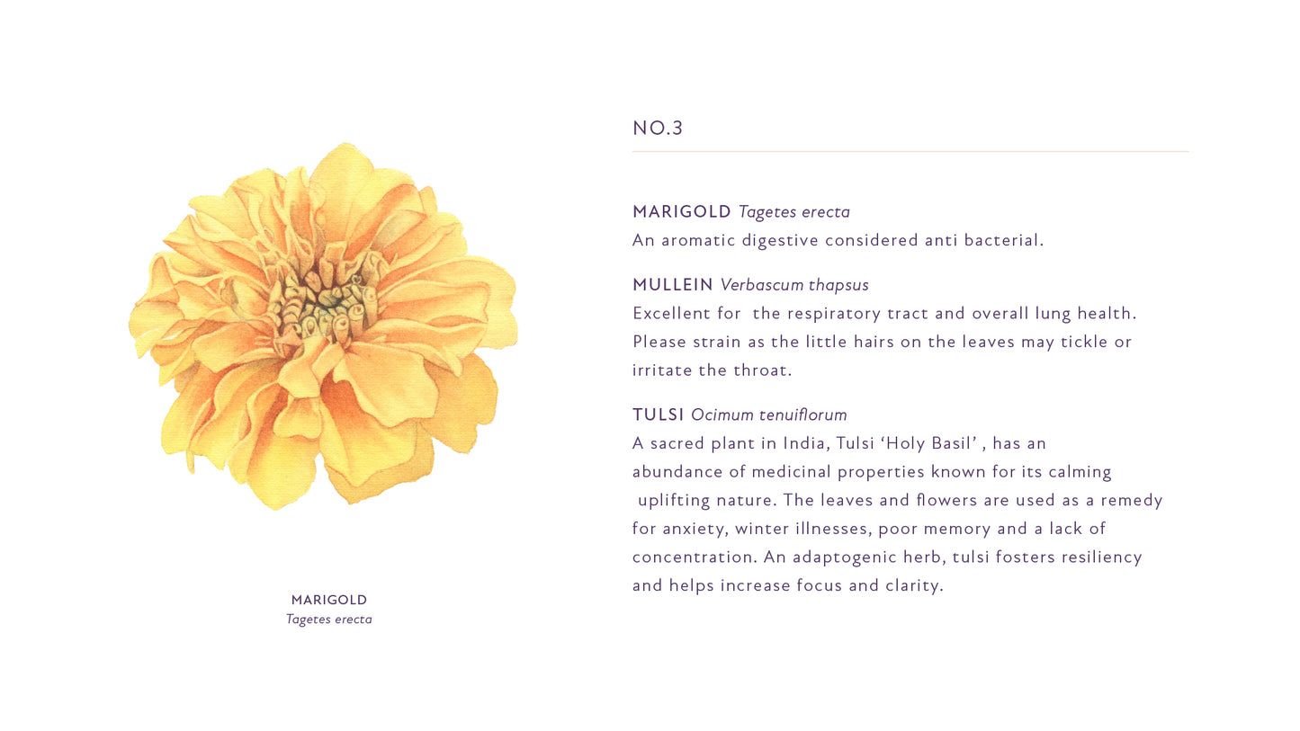 Infusion n° 3 - 4 oz 